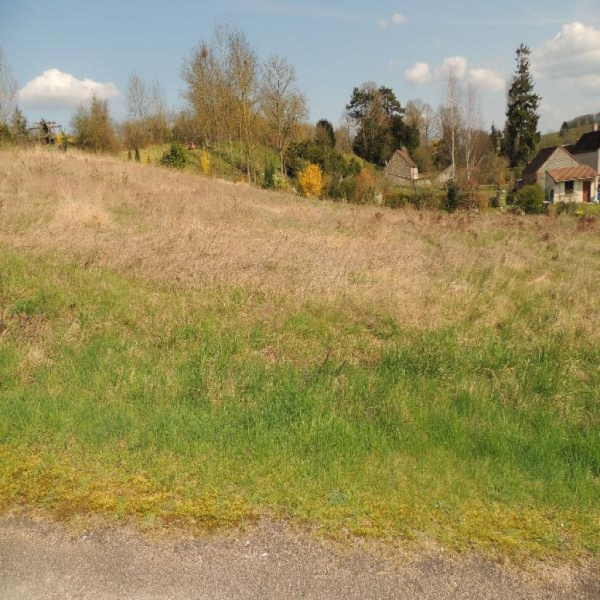 Offres de vente Terrain Sens 89100
