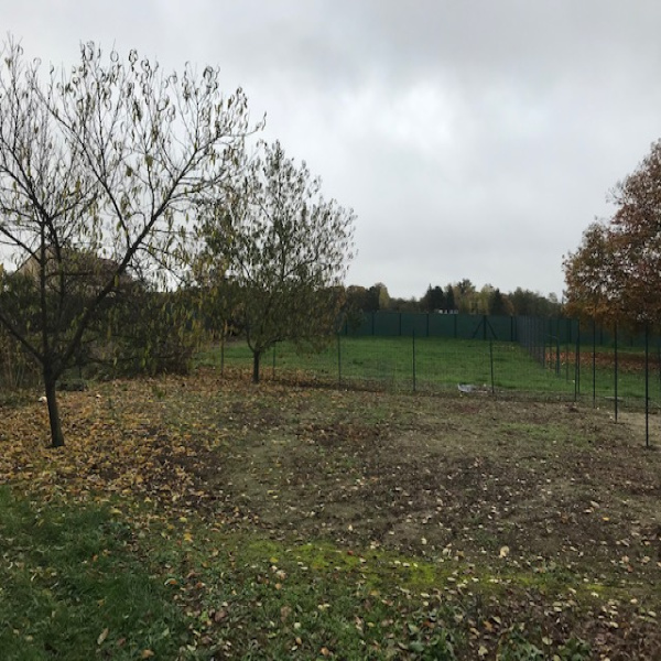 Offres de vente Terrain Brannay 89150