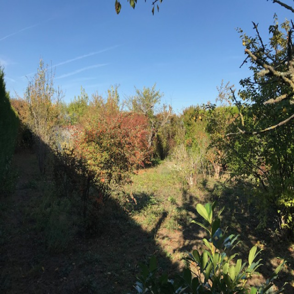 Offres de vente Terrain Sens 89100